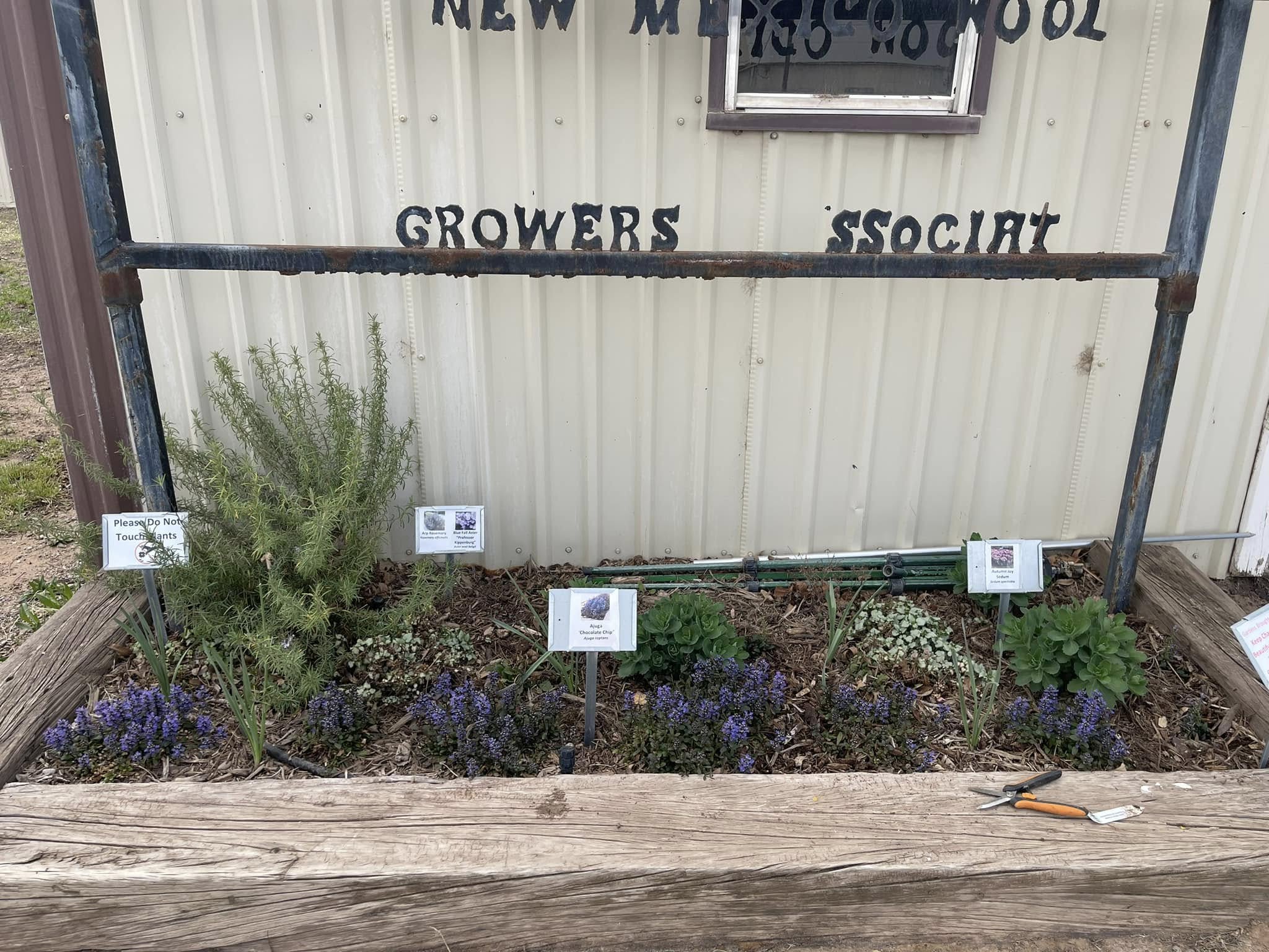 Flower beds at ENMSF