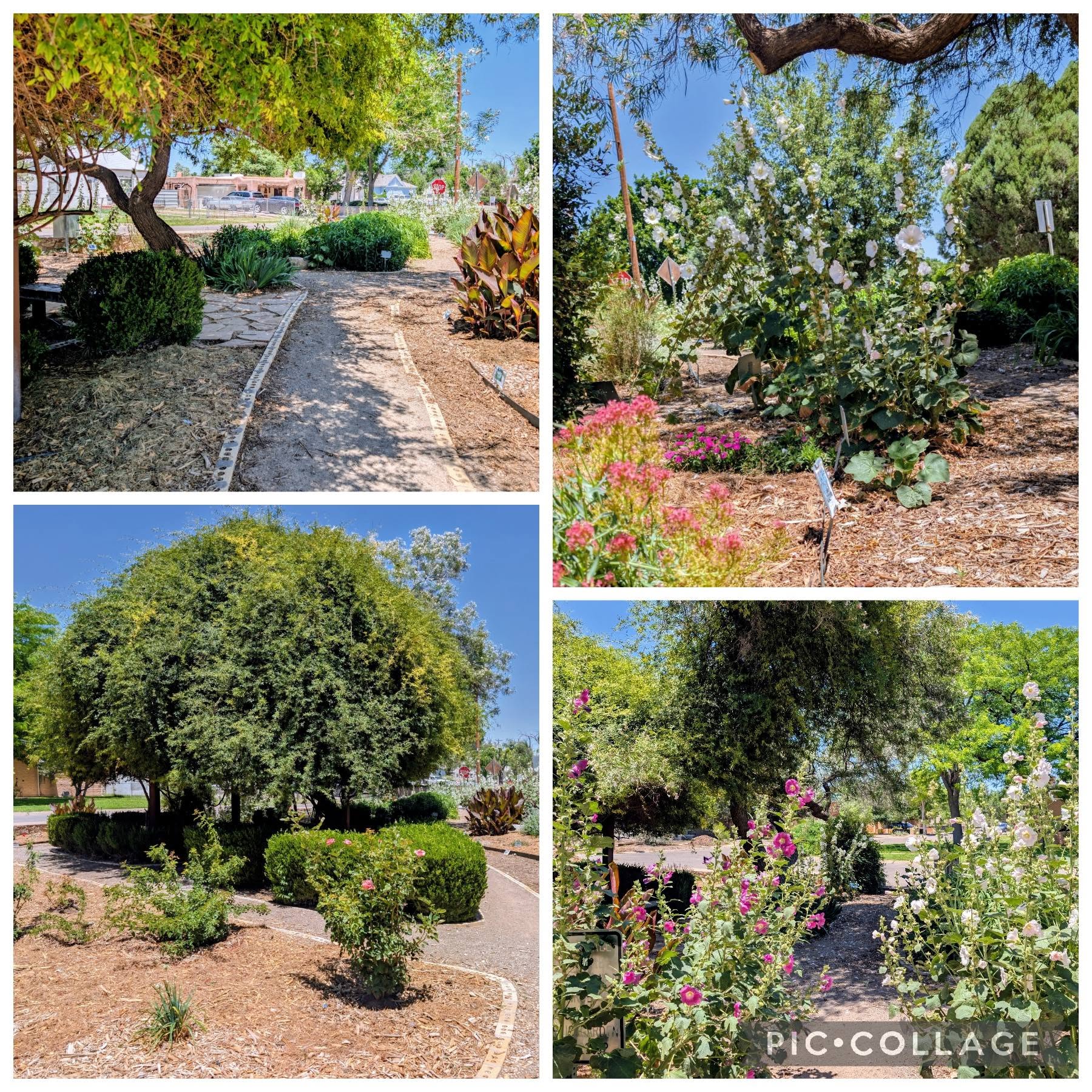 Triangle Garden